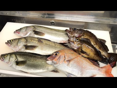 Видео: Я поймал эту рыбу с креветкой, которая стоит 30 иен за креветку.