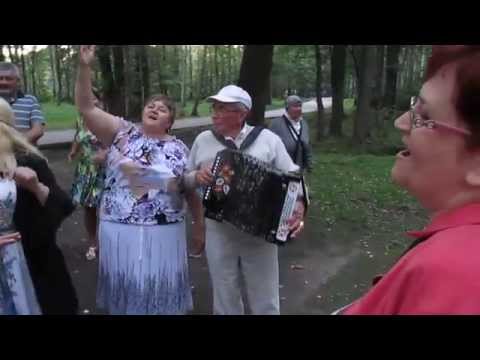 Видео: Небо пополам, ОЧЕНЬ ПРИЯТНАЯ песня под гармонь