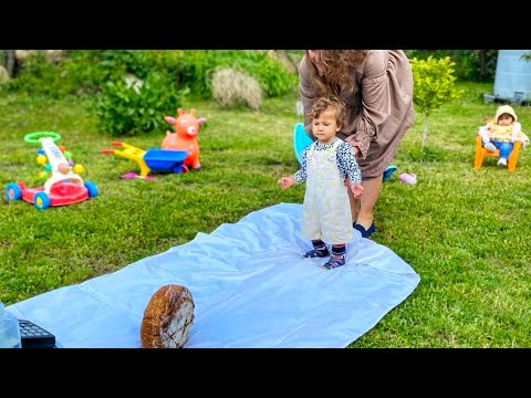 Видео: Живот на СЕЛО: Прощъпулник на Алмая и УСПЕШНА борба с поповите прасета☼ Имение ХАЛО ☼