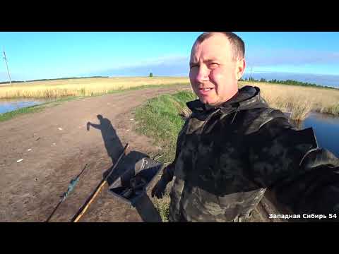 Видео: Рыбалка на паук подъёмник. Трубу снова забило старым камышом.