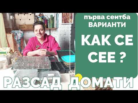 Видео: В домашни условия - сеитба за разсад на домати, няколко варианта и подробности.