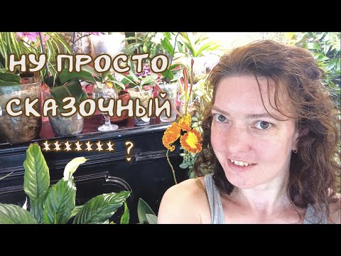 Видео: Белки и Психи. Правдивая История с Доказательствами.