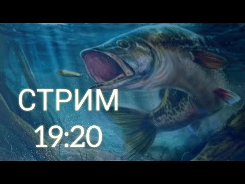 Видео: Стрим, играем в Ultimate Fishing Simulator и My Fishing World