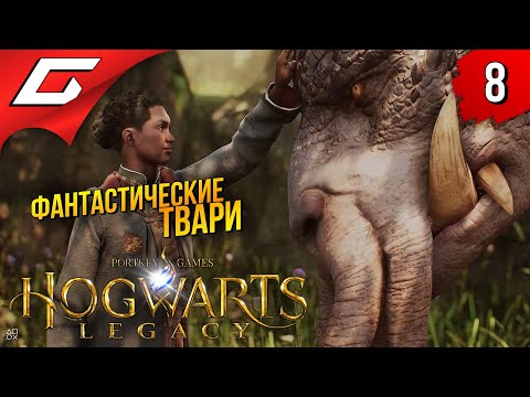 Видео: ФАНТАСТИЧЕСКИЕ ТВАРИ ➤ Hogwarts Legacy ◉ Прохождение #8