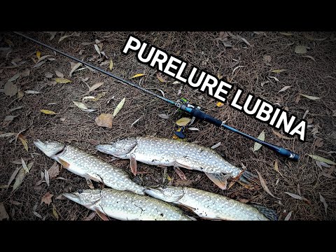 Видео: Purelure lubina. Наконец то обрыбил.....
