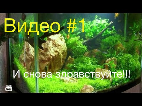 Видео: И снова здравствуйте!