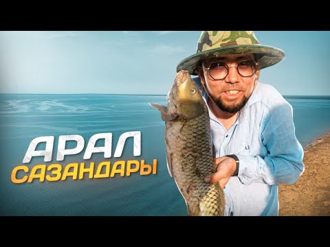 Видео: ЗАПРЕТ! Арал сазандары | Арал теңізі | Запретке дейінгі балық аулау. #Есқара