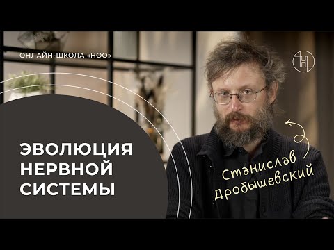 Видео: ГРУЗ ПРОШЛОГО В МОЗГЕ ЧЕЛОВЕКА | Дробышевский об эволюции нервной системы | НОО