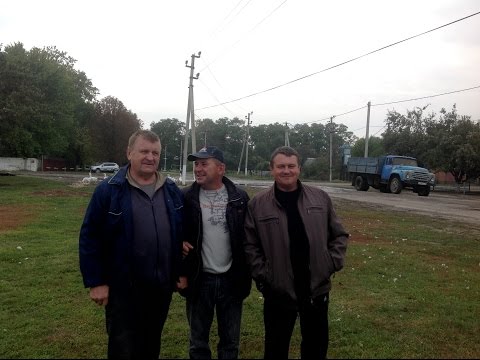 Видео: Холмогорские гуси в Грайворонском районе. Часть 2