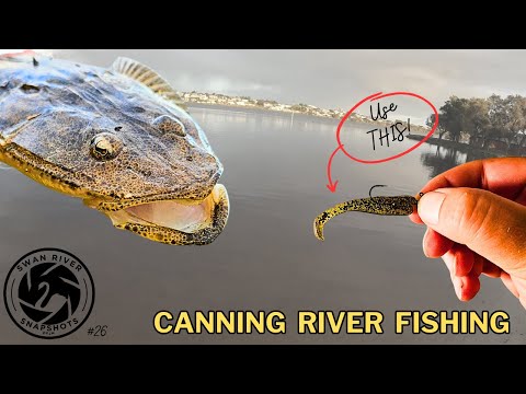Видео: Эта снасть НИКОГДА меня не подводит на реке Кэннинг | Быстрая рыбалка в Перте