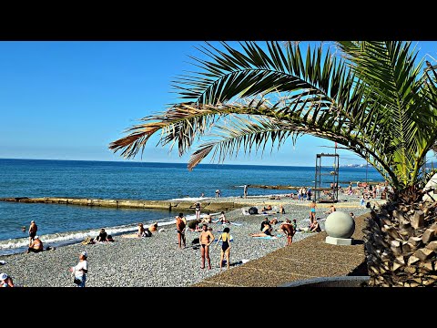 Видео: ✅️🌴17 ОКТЯБРЯ В АДЛЕРЕ:+20° ТЕПЛА, МОРЕ +20°, ПО ДЕМОКРАТИЧЕСКОЙ К МОРЮ,БАРХАТНЫЙ СЕЗОН В РАЗГАРЕ