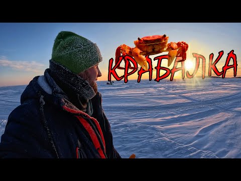 Видео: КАК ЛОВЯТ КРАБОВ? / САХАЛИНСКАЯ КРАБАЛКА / Сахалин