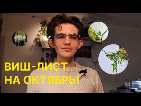 Видео: Мой ВИШ-ЛИСТ! / Растения, которые мне очень сильно хочется / МНОГО папоротников / Орхидеи / Каудексы