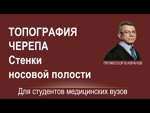 Видео: Топография черепа. Стенки носовой полости.