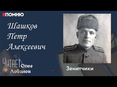 Видео: Шашков Петр Алексеевич. Проект "Я помню" Артема Драбкина. Зенитчики.
