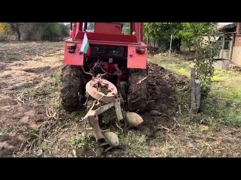 Видео: Оран с владимировец т25