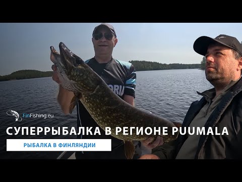 Видео: Офигенные щуки. Рыбалка в регионе Puumala. Рыбалка в Финляндии. Fishing in Finland. Puumala