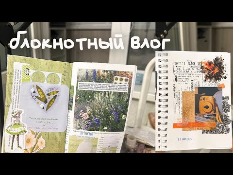 Видео: блокнотный влог | распаковка kinbor 2026, уборка и обзор блокнотов