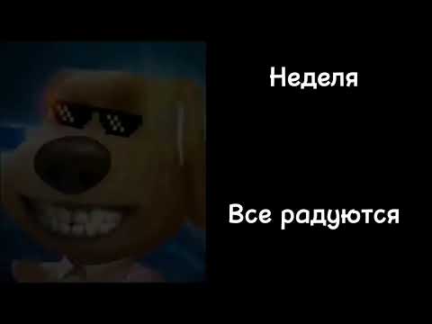 Видео: Сколько осталось до лета:|Лица бена|Blackflom