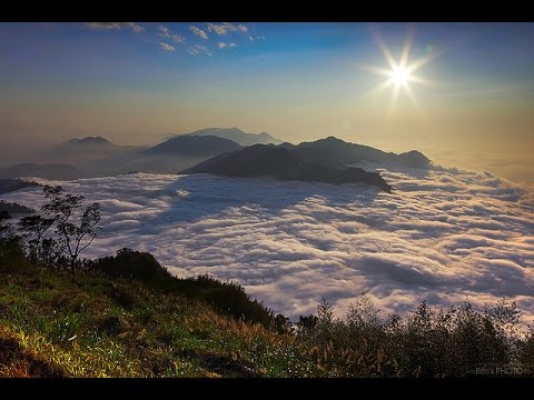 Видео: Тайваньский улун Алишань.