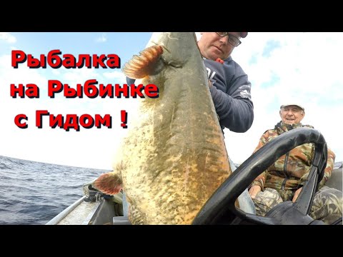 Видео: Рыбалка на Рыбинке с Гидом
