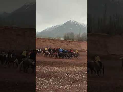 Видео: марҳамад тамошо кунед неки подписаться кнен аааай