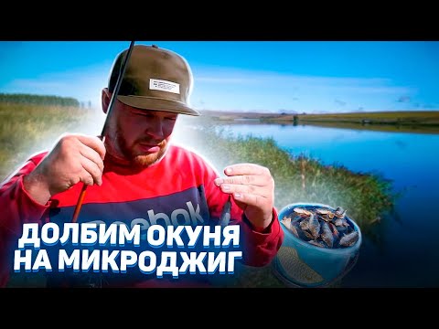 Видео: Пассивный окунь на микроджиг. Осенняя рыбалка 2021. Рецепт блюда на природе. Рецепт лапши wok.