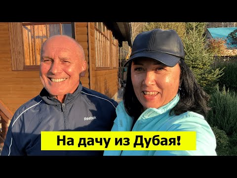 Видео: Первый раз на дачу после Дубая. Выкинули помидоры. Сосед показал новую баню