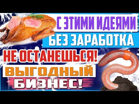 Видео: Простые и доходные бизнес идеи для села