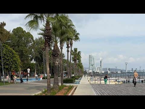 Видео: Alex Traveler в прямом эфире!