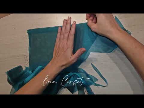 Видео: Пошив корсета из органзы. часть 1
