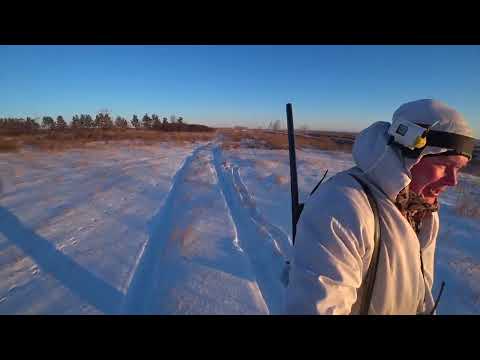 Видео: Охота на зайца. Зайцы дачники. Сезон 2024-2025 №212.