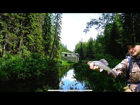 Видео: НОЧЕВКА В СОВЕТСКОМ БАЛКЕ ЛЕСОРУБОВ. ЛОВЛЮ ХАРИУСА И ЩУКУ В РУЧЬЕ НА СПИНИНГ.ТАЕЖНЫЙ БЫТ.