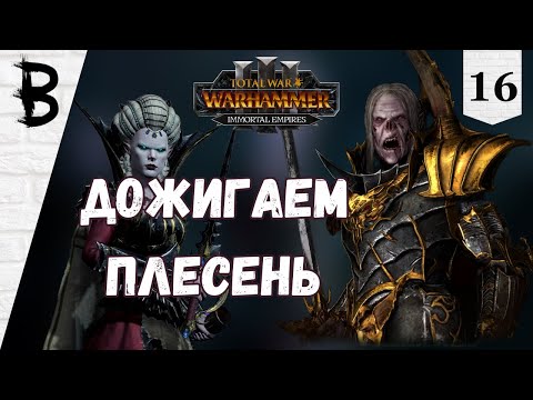 Видео: Total War: Warhammer 3 Immortal Empires Сильвания, Влад фон Карштайн #16 "Дожигаем плесень"