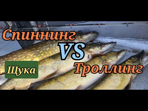 Видео: Сказ о том, как классика троллинг уделала.