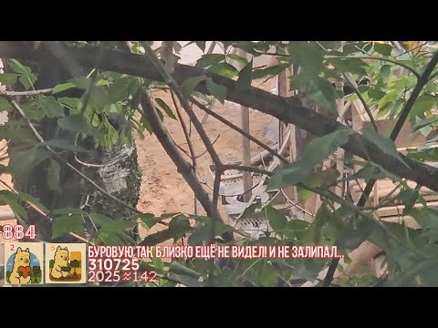 Видео: 🟥🟧310725›Реновация‹Смольная, 23•Наблюдения-День 6:Буровая-Установка и пробы|МОИ АУТИЗМ/БИПОЛЯРНОЕ