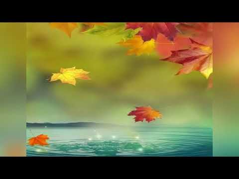 Видео: Andrey D. Project "Листопад"("Осенняя мелодия").