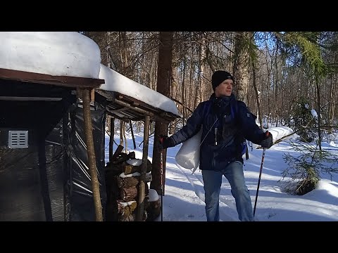 Видео: В лесной балаган на лыжах.