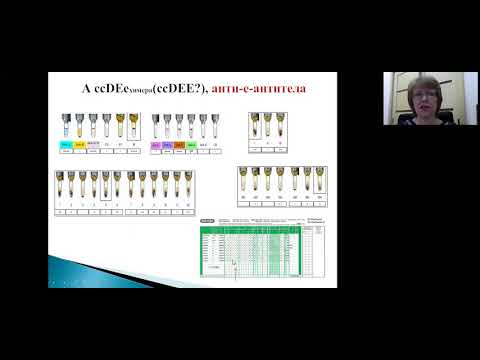 Видео: Зачем идентифицировать антитела?