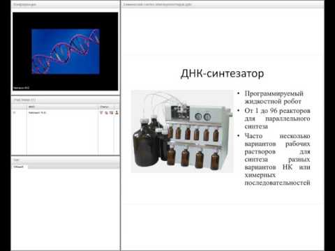 Видео: М Некрасов  Химический синтез олигонуклеотидов