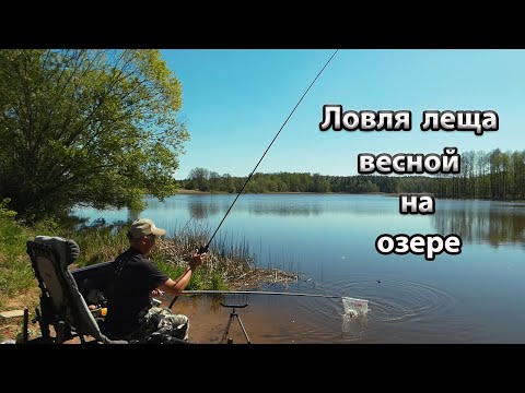 Видео: Ловля леща на небольших озерах.