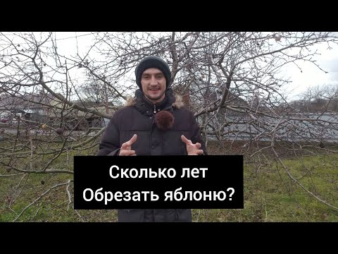 Видео: Сколько лет обрезать яблоню?