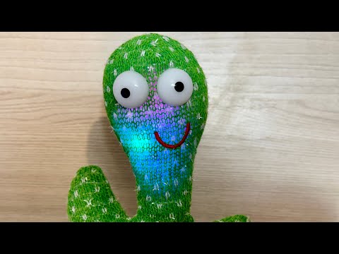 Видео: Танцующий кактус - такое НЕЛЬЗЯ пропустить! Эксклюзив. Продолжение.