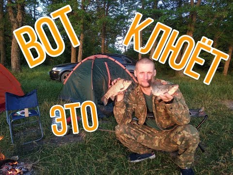 Видео: Рыбалка,ловля карася на донку на Ставрополье. Карась клевал как бешанный!