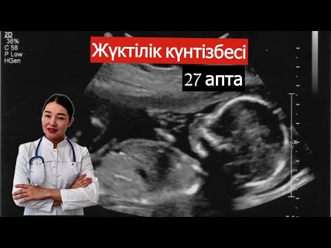 Видео: Жүктілік күнтізбесі 27 апта//календарь беременности