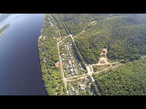 Видео: зольное