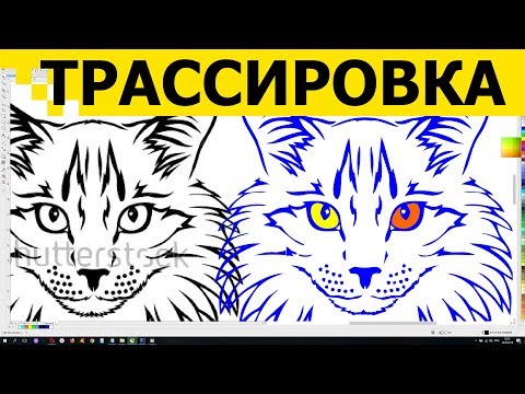 Видео: Перевод растра в вектор 🍀 Трассировка изображений фото Как сделать в CorelDraw Корел Дро вектор Урок