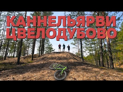 Видео: Каннельярви - Цвелодубово. Гревел. Усадьба. Бобры. Падение. | 29.04.2024