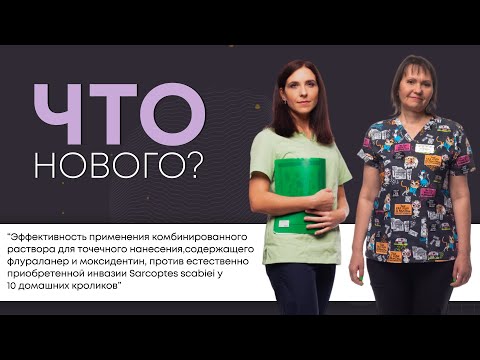 Видео: ЧТО НОВОГО? Эффективность применения комбинированного раствора флураланера и моксидектина