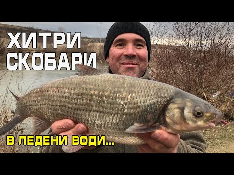 Видео: ХИТРИ СКОБАРИ в ледени води